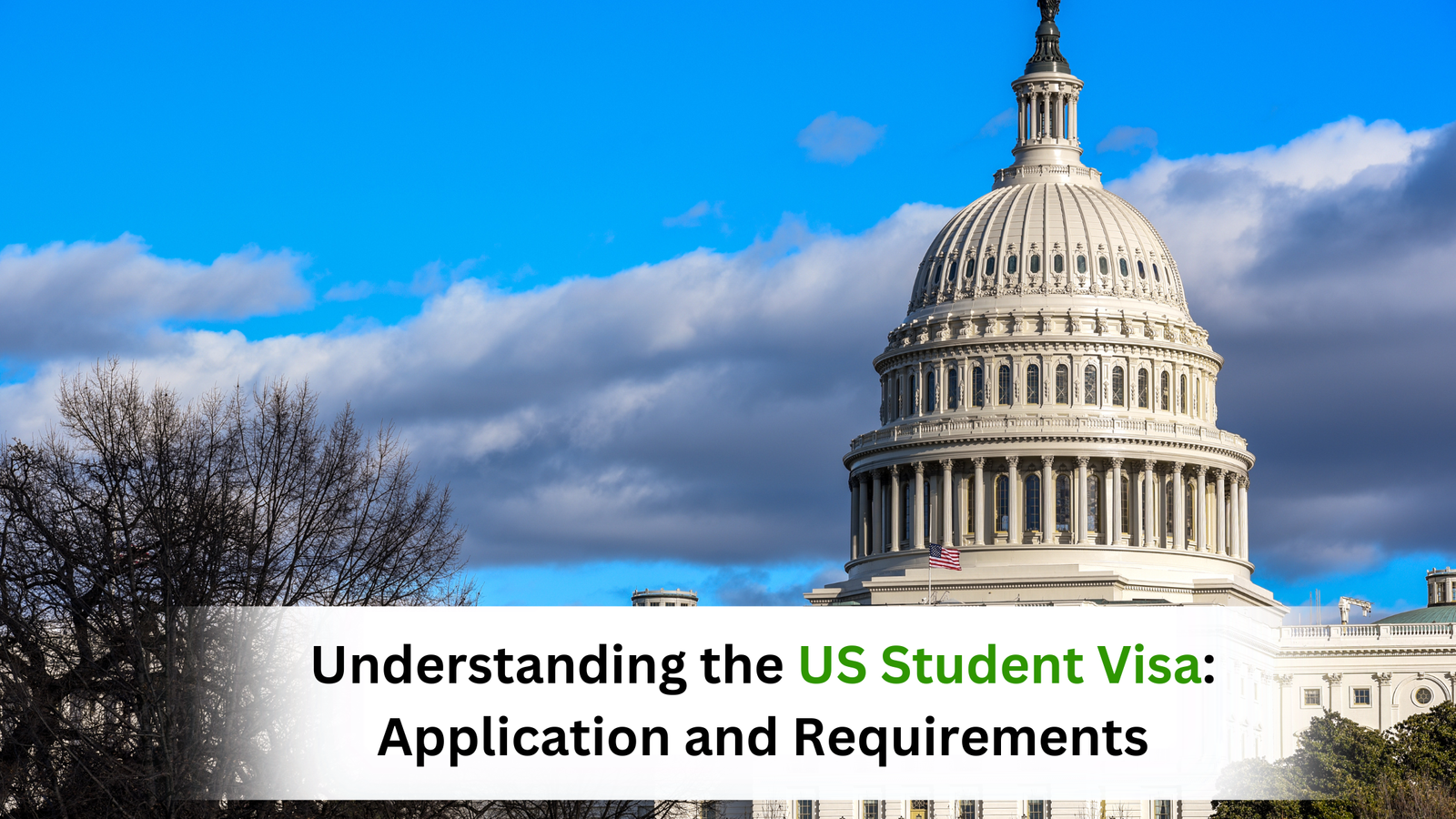 Understanding the US Student Visa: Application and Requirements