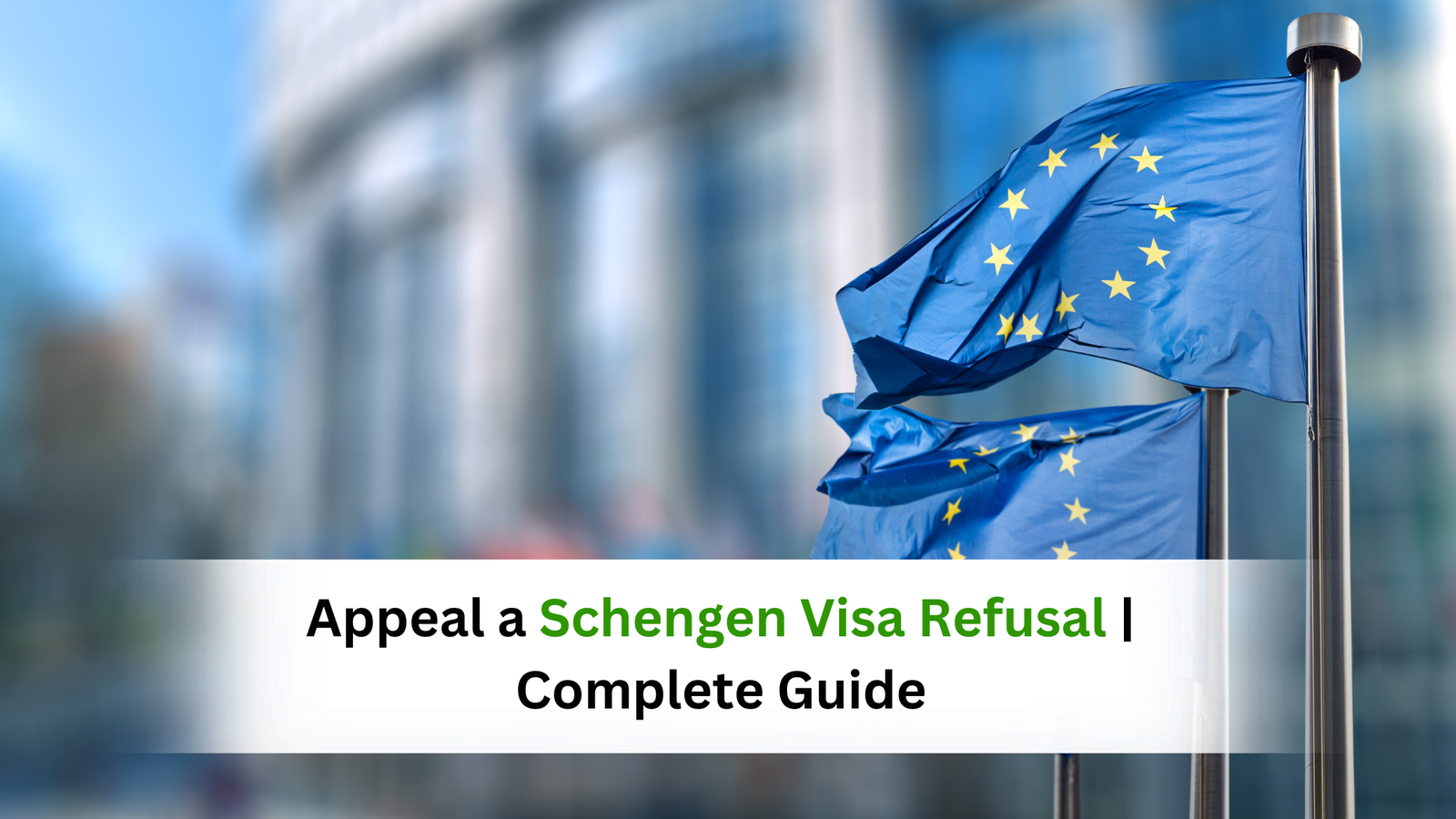 Appeal a Schengen Visa Refusal | Complete Guide