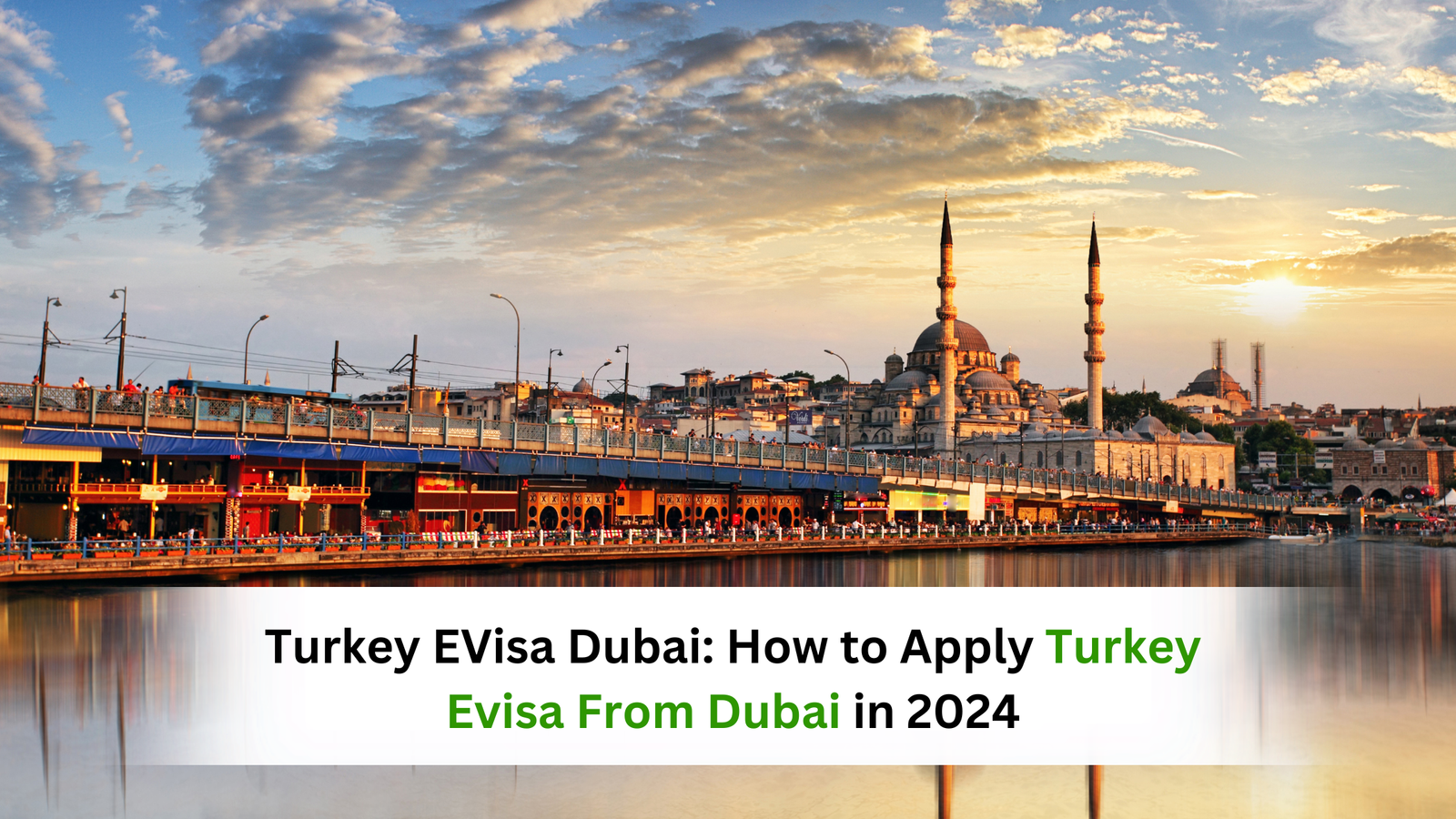 Turkey EVisa Dubai: How to Apply Turkey Evisa From Dubai in 2024