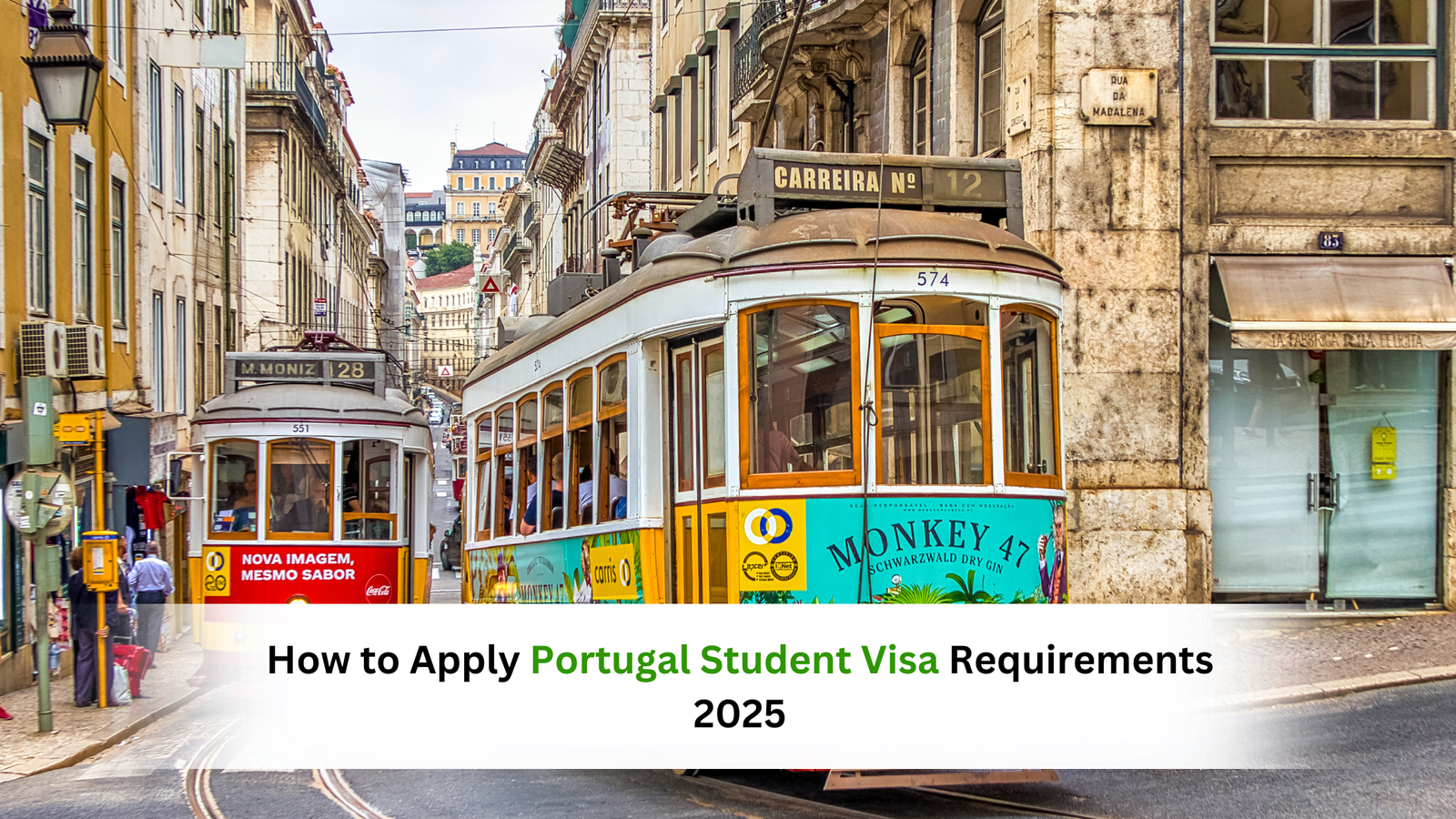 How to Apply Portugal Student Visa Requirements 2025